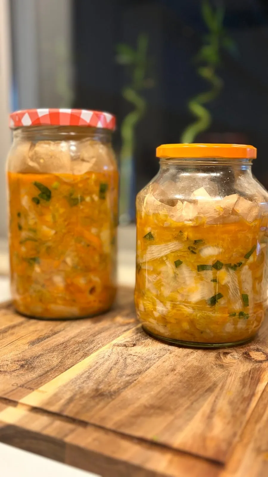 Fermentados preparados na cozinha ayurvédica